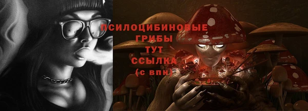 соль ск Балахна