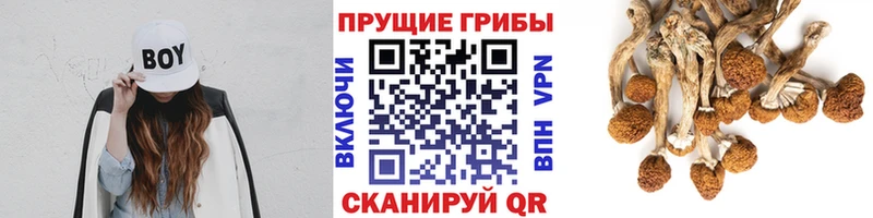Галлюциногенные грибы мухоморы  даркнет сайт  Гаджиево 